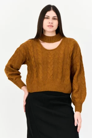Pink Rose Women Choker Neckline Knitted Crop Sweater - Brown