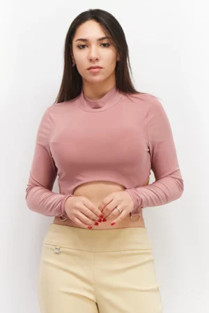Missy Empire Women High Neck Long Sleeves Solid Cropped Top, Mauve